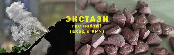 индика Инта
