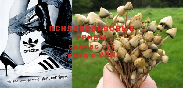 jwh Карпинск
