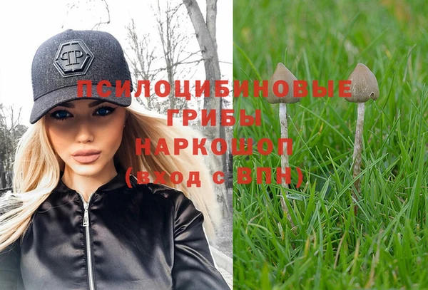 jwh Карпинск